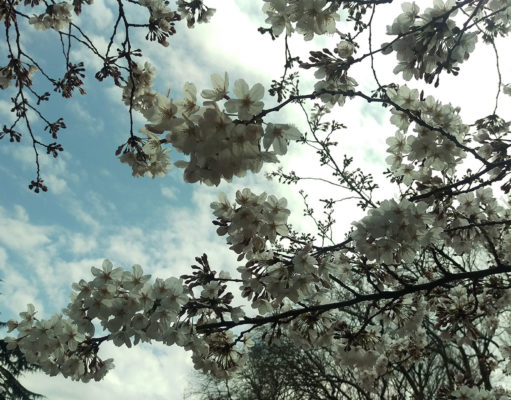 The 10 Things I Like About Japan