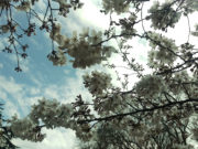 The 10 Things I Like About Japan