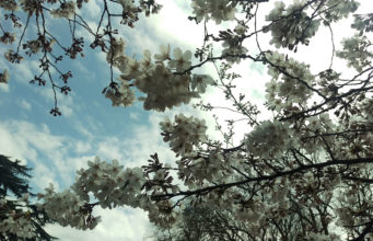 The 10 Things I Like About Japan