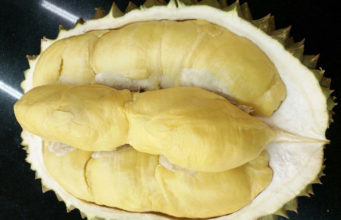 The King of Fruits