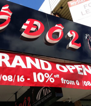 CoDo the Vietnamese Restaurant