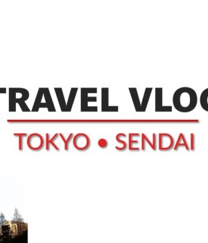 Tokyo to Sendai. From Disneyland to Whisky Land & Night Market Under Snowfall
